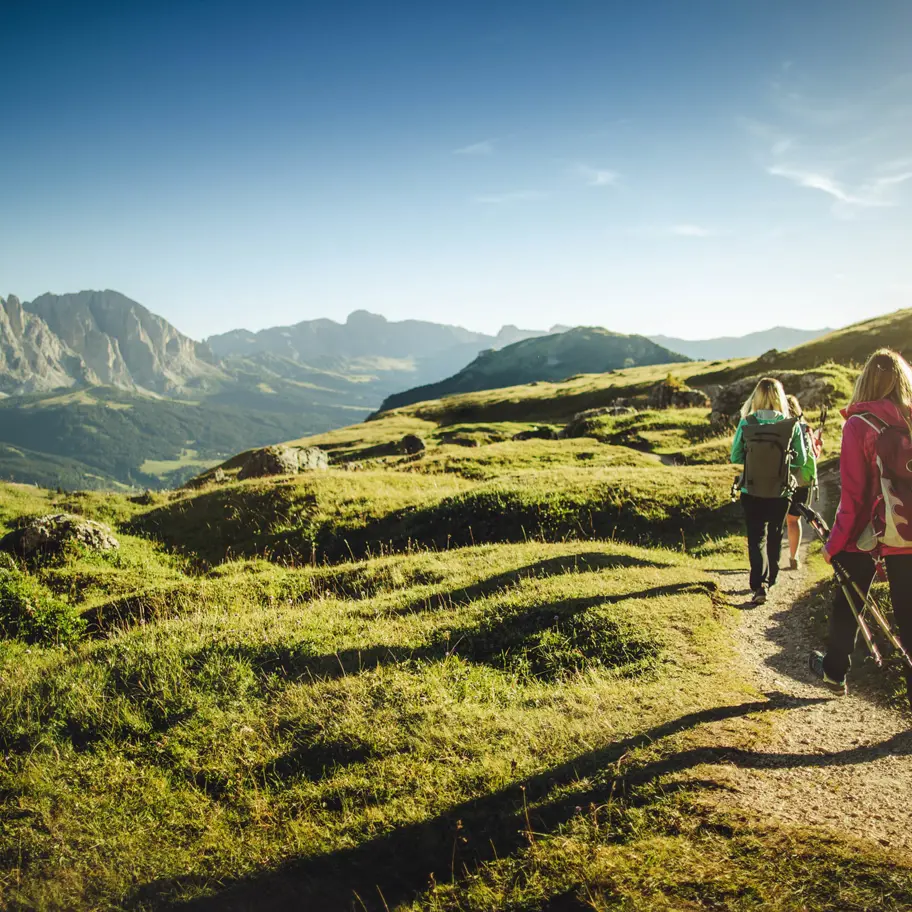 Hotel Tyrol Selva Val Gardena Dolomiti Is 615098476