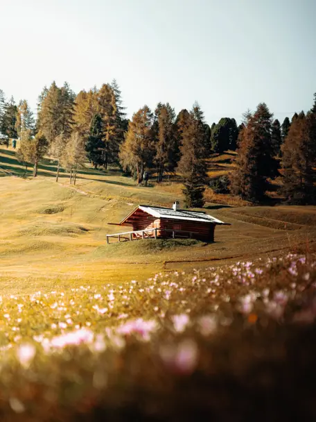 Hotel Tyrol Selva Val Gardena Dolomiti Tyrol Daniel J Schwarz Qoglpg8eqpc Unsplash